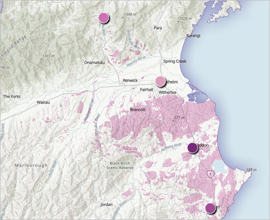 Summarized areas of Nassella tussock sightings within a 1.5-kilometer distance of campgrounds